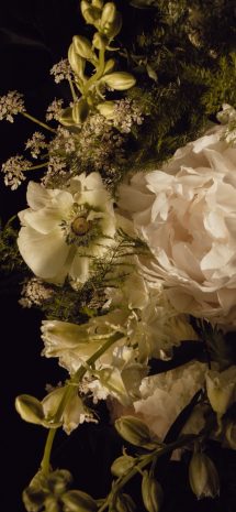 Flores
