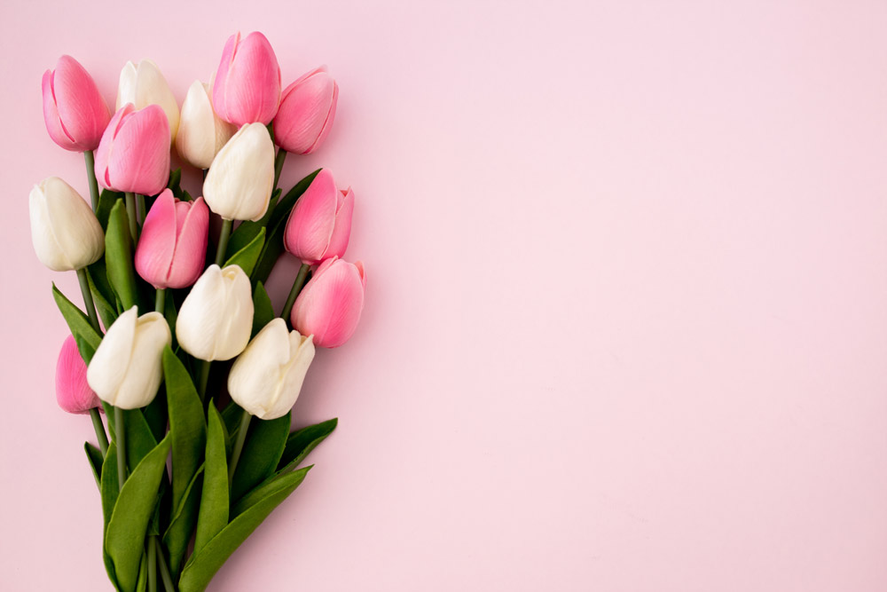 Las-flores-más-bonitas-para-regalar---tulipanes