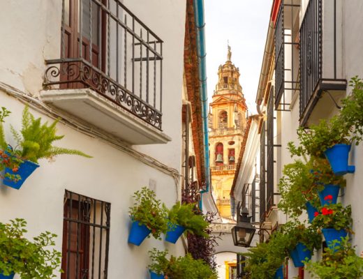 La historia de la calleja de las flores en Córdoba - Andaluflor