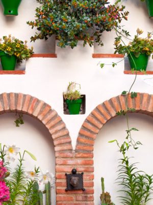 5 Flores autóctonas de Andalucía que deberías tener en tu jardín