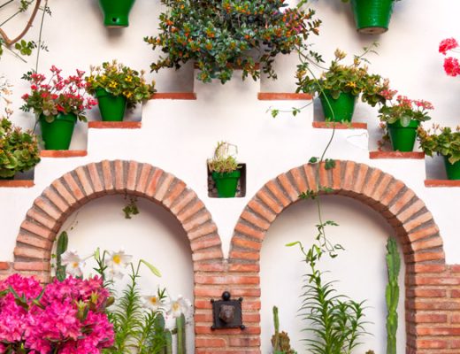 5 Flores autóctonas de Andalucía que deberías tener en tu jardín - Andaluflor