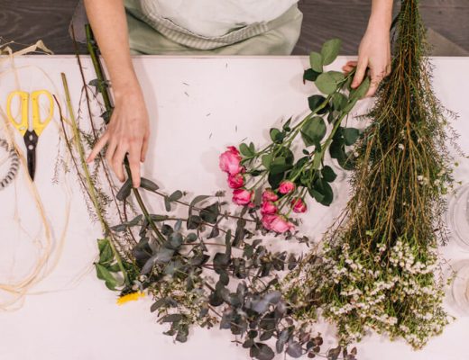 Todo lo que debes saber de las flores de temporada - Andaluflor